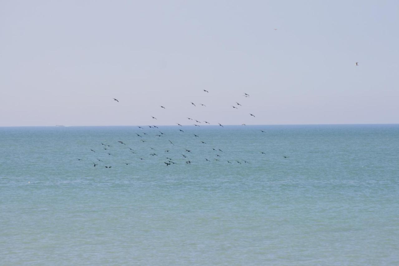 A côté de la mer Ault Exterior foto